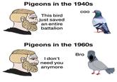 Pigeons in the 1940s This bird just saved an entire battalion COO Pigeons in the 1960s I don't need you anymore Bro