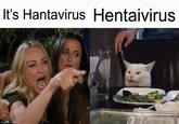 It's Hantavirus Hentaivirus imgfifp.com