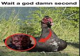 Wait a god damn second @qui_gone fishi