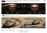 Mohamed "TheFearMaster" Saad (Commissions open) @TFMsaad Follow " EARTH Earth @earthcurated Photographer captures unique picture of a naturally bald lion. 3:23 PM Mar 13, 2026 . 1.4K Reply Copy link to post Read 5 replies X