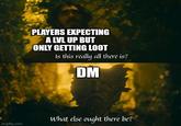 PLAYERS EXPECTING A LVL UP BUT ONLY GETTING LOOT Is this really all there is? DM imgflip.com What else ought there be?