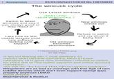 : Anonymous 05/09/26(Sat) 15:08:02 No.108784839 The wincuck cycle Use Latest windows >MUH LTSC >MUH WINCUCKS 7 Switch to latest windows and say it was always good or they "fixed it" Larp how its still usable despite most new software lacking core support Old windows becomes abandonware New windows comes out Refuse to switch and cry about it being bad 1748460086212939.png 97 KB PNG >I am not leaving win 7, f--- windows 10 >NOOO MUH HECKIN GOYAPPS, MUH STEAM! >Windows 10 is good now, evendoe I refused to switch for years due to new builtin spyware and online account mandates! >K2 will "fix" the forced TPM, FBI encryption backdoor Wingolems are as bad as macfags with ther 8gb of ram toddler devices which don't even support opengl apps properly anymore LMAO. >Muh dirtyfra- BlueHammer & RedSun
