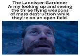 The Lannister-Gardener Army looking up and seeing the three flying weapons of mass destruction while they're on an open field