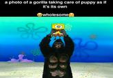 a photo of a gorilla taking care of puppy as if it's its own wholesome