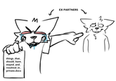 things_that_ should_have_ stayed_and_ resolved_in_ private.docx M EX PARTNERS