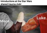 Introductions at the Star Wars shared trauma club! Mace. Luke.