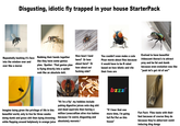 Disgusting, idiotic fly trapped in your house StarterPack Repeatedly bashing it's face into the window over and over like a moron Rubbing their hands together like they have some genius plan. Spoiler: That genius plan is flying directly into a spider web like an absolute dolt. How bout I land here? Or how about here? Or how about out f------ side? You couldn't even make a cute Pixar movie about flies because it would have to be R rated based on how idiotic and vile their lives are Evolved to have beautiful iridescent thorax's to attract prey and be fat and dumb because even evolution was like "yeah let's get rid of em""" bzzz!™ Imagine being given the privilege of life in this beautiful world, only to live for three weeks doing dumb and gross s--- then dying drowning while flapping around helplessly in orange juice "Hi i'm a fly! my hobbies include puking digestive juices onto dog s--- and dead squirrels then having a million Lovecraftian alive rice babies because i'm weird, disgusting and absolutely moronic" "If I hear that one more time, i'm going full Pol Pot on this house" Fun Fact: Flies taste with their feet because of course they do because they're abhorrent vomit inducing ding dongs