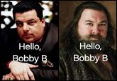 Hello, Hello, Bobby B Bobby B