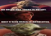 DO OR DO NOT. THERE IS NO TRY. ONLY A SITH DEALS IN ABSOLUTES.