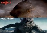 GODZILLA GODZILLA-KONG THE NEW EMPIRE