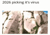 2026 picking it's virus
