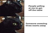 $900 People yelling at me to get off the table Someone sneezing three rooms away