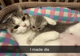 ☐ I made dis