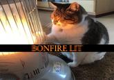 how TOTOMI BONFIRE LIT 74111 FRIDAL HO