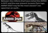 Between the millions that have visited the AMNH in NYC and the ever present Jurassic Park logo, AMNH 5027 may be the most viewed T.rex specimen on earth... JURASSIC PARK