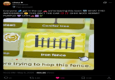 Post image 28