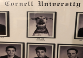 Cornell University LADI WILLIE SECURITY SE