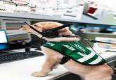 NE I org AMERICA'S VETDOGS JETS DIME