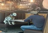 RAL RAZON spíritu.. nke, wenn ich eine Frau gewesen wäre, TR is better WITH A COFFEE würde e ich Kaffee als Pfim verwend