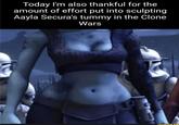 Today I'm also thankful for the amount of effort put into sculpting Aayla Secura's tummy in the Clone Wars Bunny.co
