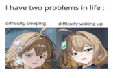 I have two problems in life: difficulty sleeping difficulty waking up