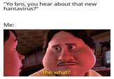 "Yo bro, you hear about that new hantavirus?" Me: The what?