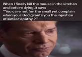 When I finally kill the mouse in the kitchen and before dying,it says "You care not for the small yet complain when your God grants you the injustice of similar apathy?"