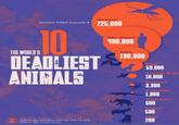 Humans Killed Annually ▸ Mosquitoes 725,000 .10 THE WORLD'S DEADLIEST ANIMALS "Spreads disease "Homicides only Figures are estimates, and may vary by year. Source: BBC Science Focus Other Humans" 400,000 Snakes 138,000 Dogs 59,000 Assassin Bugs 10,000 Scorpions 3,300 Crocodiles 1,000 Elephants 600 Hippos 500 Lions 200