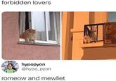 forbidden lovers hypopyon @hypo_pyon romeow and mewliet