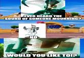 EVER HEARD THE SOUND OF SOMEONE MOURNING? NO WOULD YOU LIKE TO!? imgflip.com