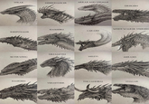 SYRAX ARRAX AND VERMAX MOONDANCER DROGON SEASMOKE WHITE WALKER VISERION CARAXES SHEEPSTEALER DREAMFYRE MELEYS SILVER WING MERAXES BALERION THE CANNIBAL VHAGAR VERMITHOR