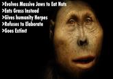 >Evolves Massive Jaws to Eat Nuts >Eats Grass Instead >Gives humanity Herpes >Refuses to Elaborate >Goes Extinct