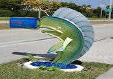 CAPE CORAL NEXT JUNCTION