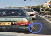 506-19 e TOYOTA COROLLA TAZ CERCAVE גול הזוג יחי החל המשיח