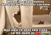 When you absolutely destroy the shower curtain But you're just too cute to be mad at