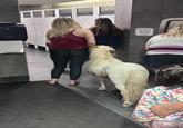 e DO NOT SIT OR CLIMB ON BABY CHANGING TABLE en Motion