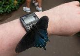 ADJUST CASIO DATA BANK DBC-62 WORLD TIME WED 708 8.29 2.32 96 CHEDULE REV +/MC X/R E F 7 TELEME MO CD /M-