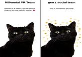 Millennial PR Team Alistair is a sweet, gentle senior looking for his forever home. gen z social team bro is homeless pls help +