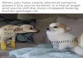 When you have nearly identical vampiric powers but you're brother is a literal angel and you're still the most chopped looking human garbage rat. Konrad Curze Sanguinius made with mematic