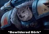 *Bewildered Börk* ХОХАЙОЯЛИФЛ 7