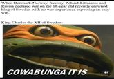 When Denmark-Norway, Saxony, Poland-Lithuania and Russia declared war on the 18-year old recently crowned king of Sweden with no war experience expecting an easy win. King Charles the XII of Sweden: COWABUNGA IT IS