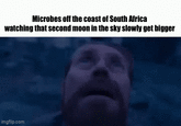 Microbes off the coast of South Africa watching that second moon in the sky slowly get bigger imgflip.com