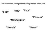 Female redditors naming or name-calling their cat starter pack "Bean" "Baby" "Cutie" "Princess" "Mr. Snuggles" "Sweetie" "Momo"