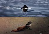 alone but moving. afraid but moving.