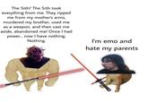 The Sith? The Sith took everything from me. They ripped me from my mother's arms, murdered my brother, used me as a weapon, and then cast me aside, abandoned me! Once I had power... now I have nothing. Nothing. I'm emo and hate my parents