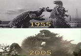 1955 2005