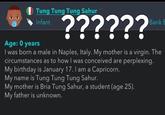 Tung Tung Tung Sahur Infant Age: 0 years ?????? Bank E I was born a male in Naples, Italy. My mother is a virgin. The circumstances as to how I was conceived are perplexing. My birthday is January 17. I am a Capricorn. My name is Tung Tung Tung Sahur. My mother is Bria Tung Sahur, a student (age 25). My father is unknown.