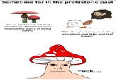 Sometime far in the prehistoric past TP (Im so glad I evolved that neurotoxin. Now I can grow without the worry of being eaten) HH "This the plant me was telling you about. eat little and feel happy." F---....