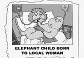 ELEPHANT CHILD BORN TO LOCAL WOMAN