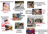 The overprotective one The scary looking mf who's actually just a big goofball alamy alamy The owner of the whole damn park and "Other "Omg was that a everything in it Just here for dogs? bark???" The the cuddles Pfft!" whimpy The way too kid *brings in an antisocial ego boost dog because too lazy to walk it* chill one "Papa halp" "They're just playing!" "Yeah she's an alfa..." The one who humps everyone Your soulmate (because your dogs have perfect chemistry)